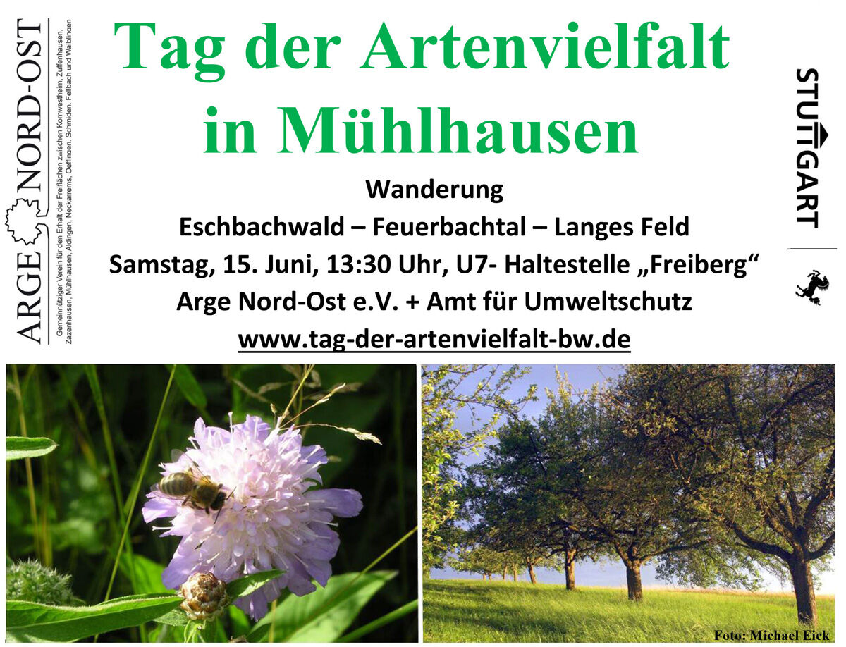 Arge-Wanderung24-2.jpg