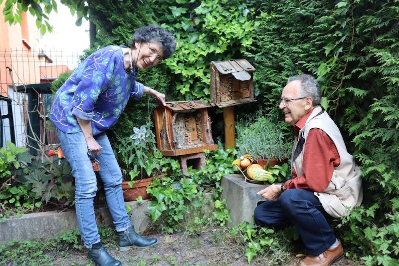 Bienenfreund1