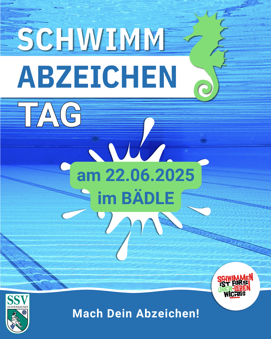 Schwimmabzeichen Baedle 0625